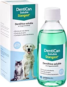 Stangest Dentican Soluble