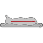 Cama Vital Lino