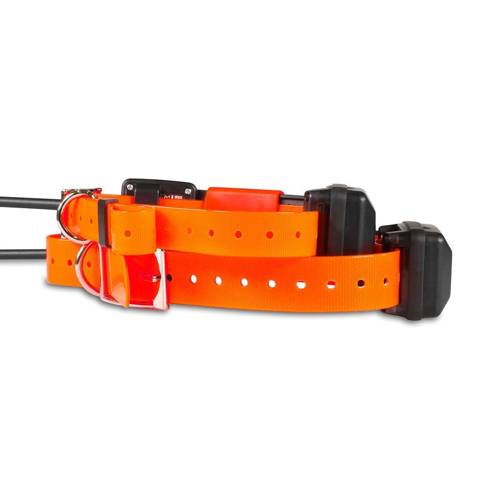 Collar DogTrace X25