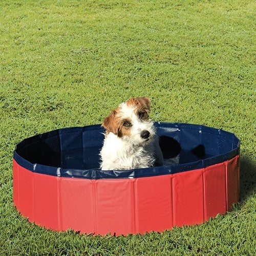 Piscina de Perros Ibañez