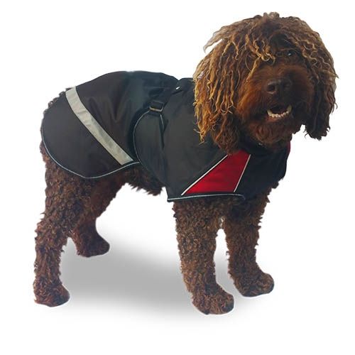 Abrigo +Street Breathe Comfort