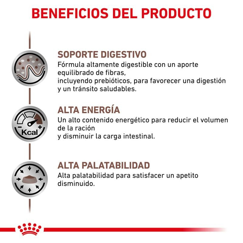 Royal Canin Diet Feline Hepatic pienso para gatos