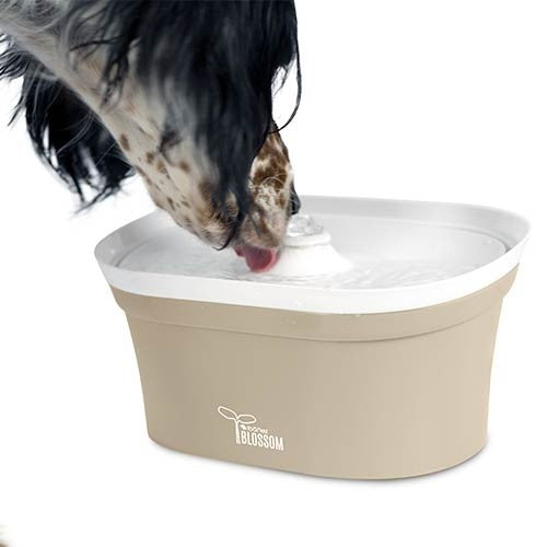 Bebedero Fuente Ibáñez "Blossom" 2,8 l