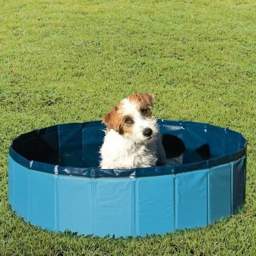 Piscina de Perros Ibañez