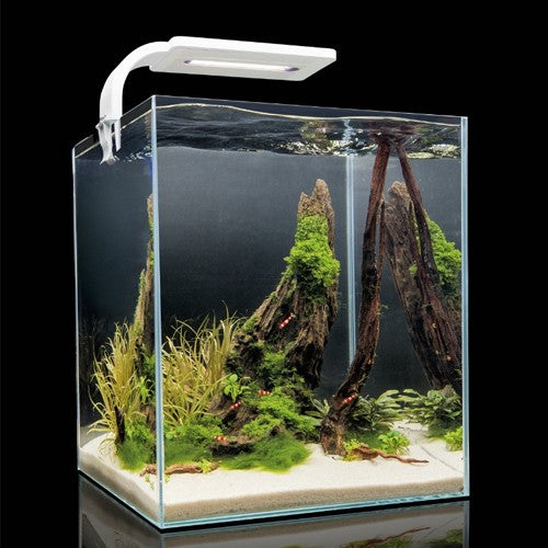 Acuario Completo Shrimp Day&Night Aquael Blanco