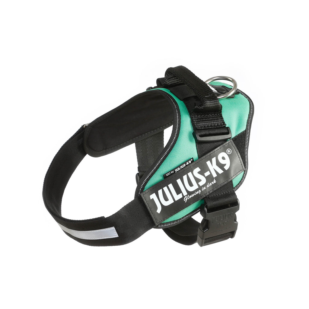 Arnes Julius K9 IDC Verde Claro