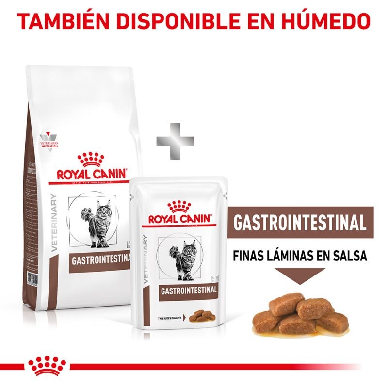 Royal Canin Diet Feline Hepatic pienso para gatos