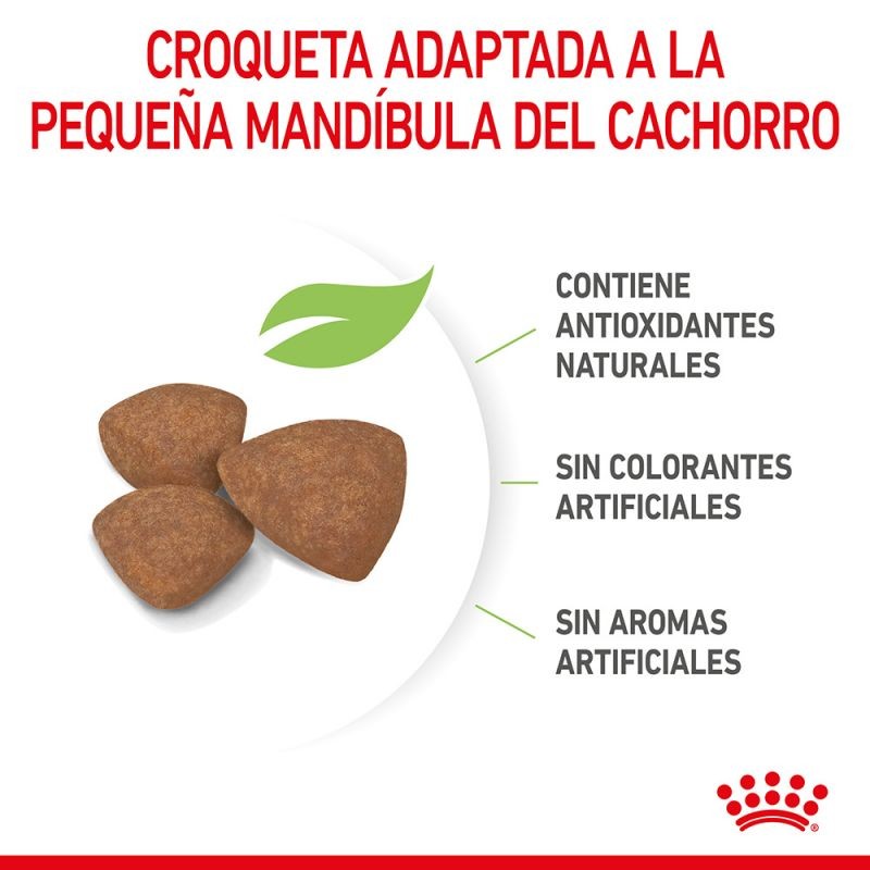 Royal Canin Mini Puppy pienso para perros