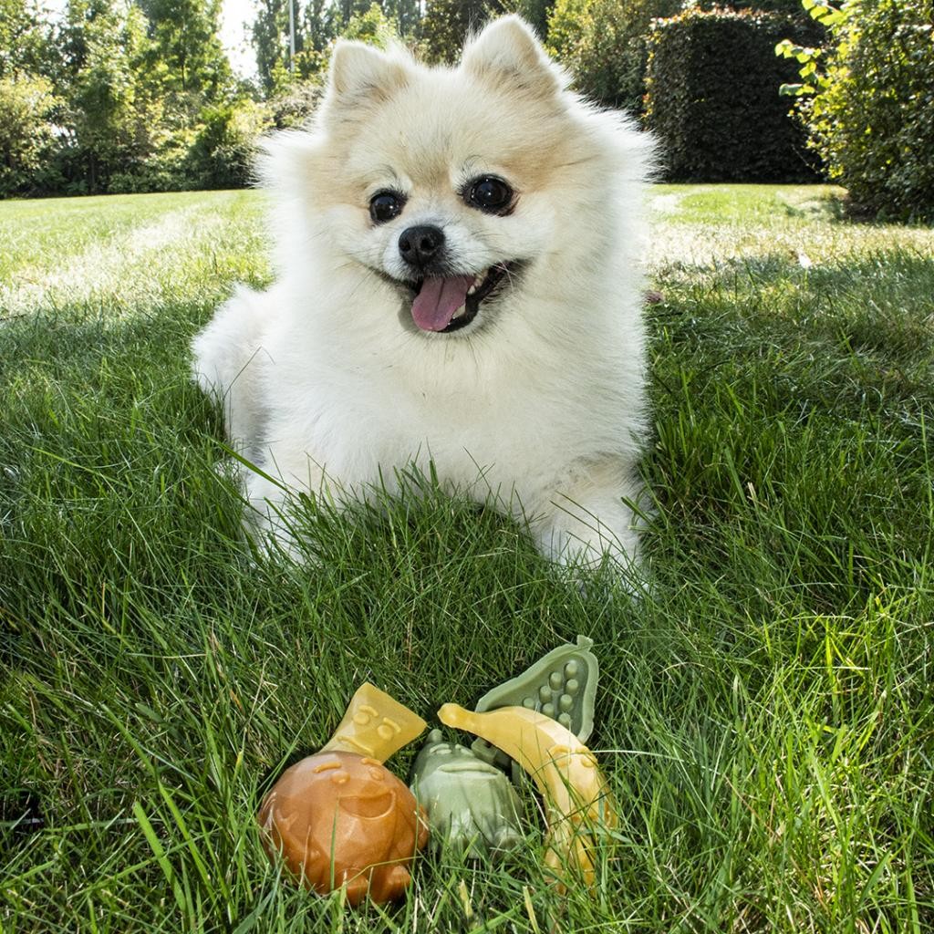 Snack para perros Garden Bites Fruity Friends