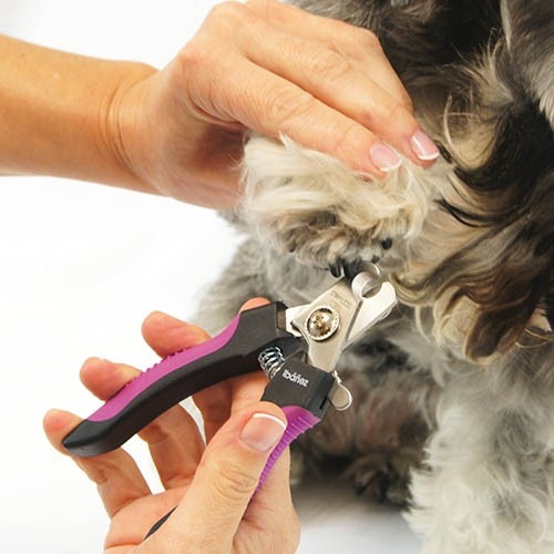 Cortaúñas para perros y gatos