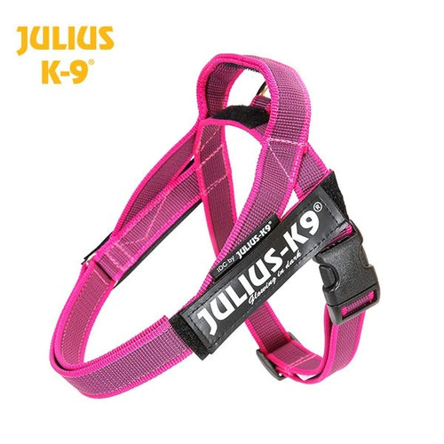 Arnés Julius K9 Cinta
