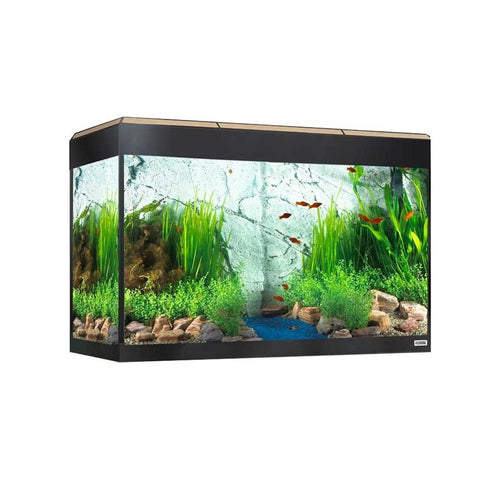 Acuario Fluval Roma LED Bluetooth 125L