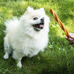 Snack para perros Garden Bites Fruity dental swirls