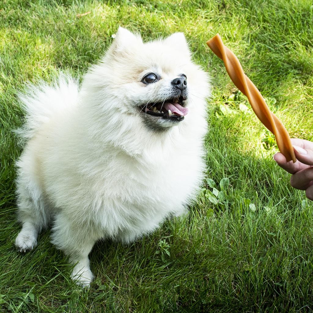 Snack para perros Garden Bites Fruity dental swirls