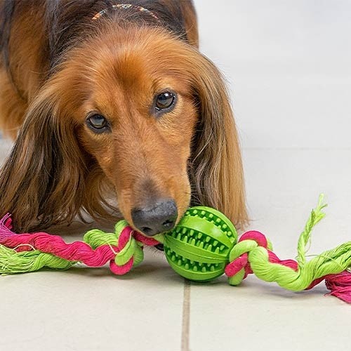 Pelota con nudos "Dientes limpios"