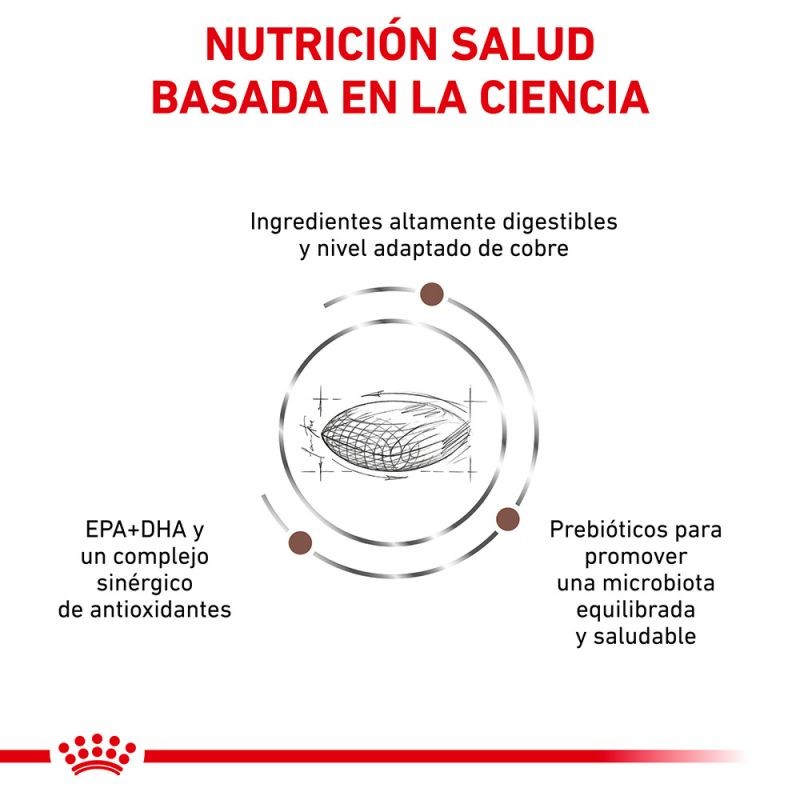 Royal Canin Diet Canine Hepatic HF16 pienso para perros