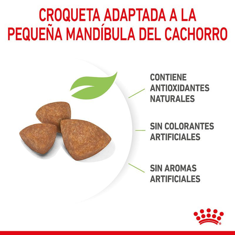Royal Canin X-Small Puppy pienso para perros hasta 3kg