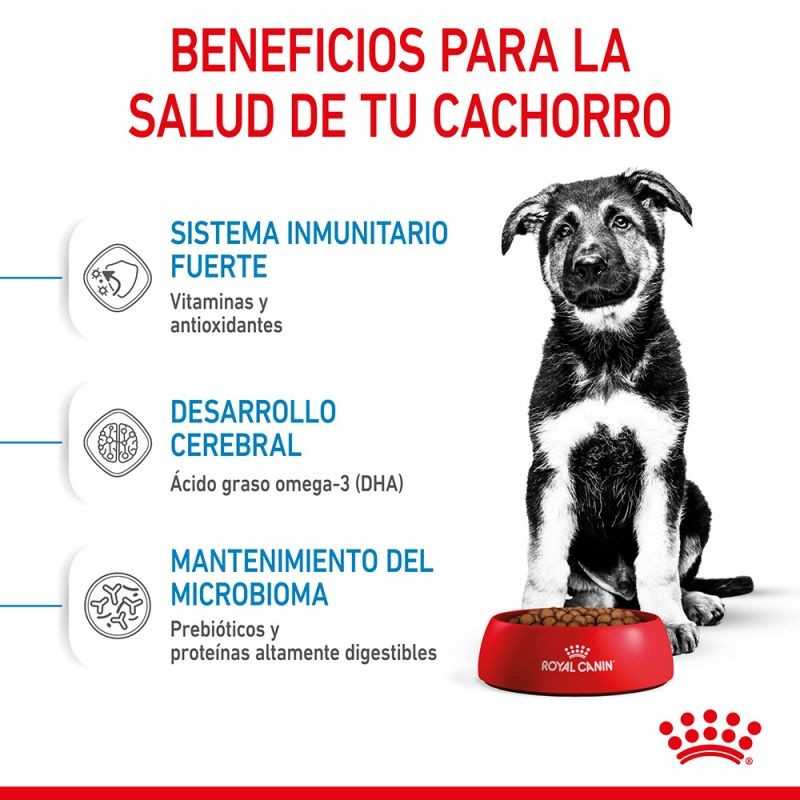Royal Canin Maxi Puppy pienso para Perros