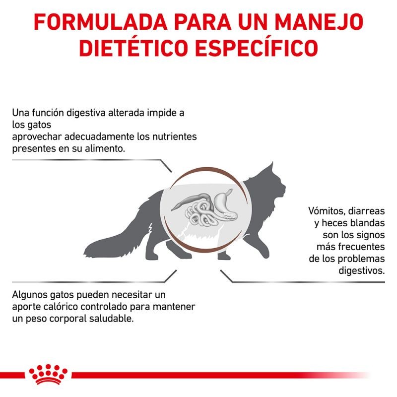 Royal Canin Diet Feline Gastro Intestinal Moderate Calorie pienso para gatos