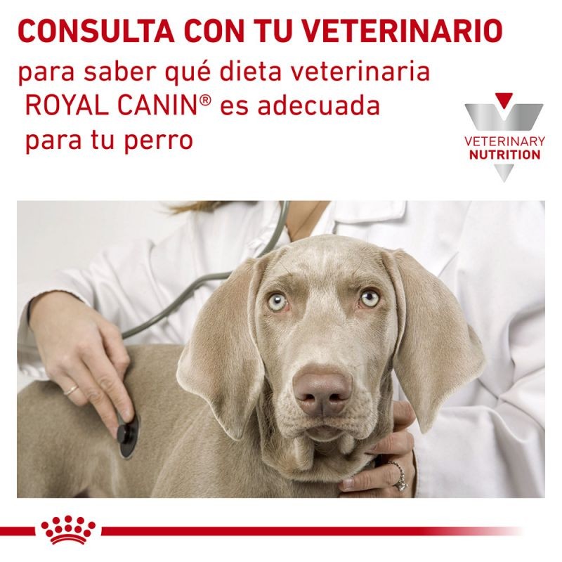 Royal Canin Diet Canine Wet Hypoallergenic