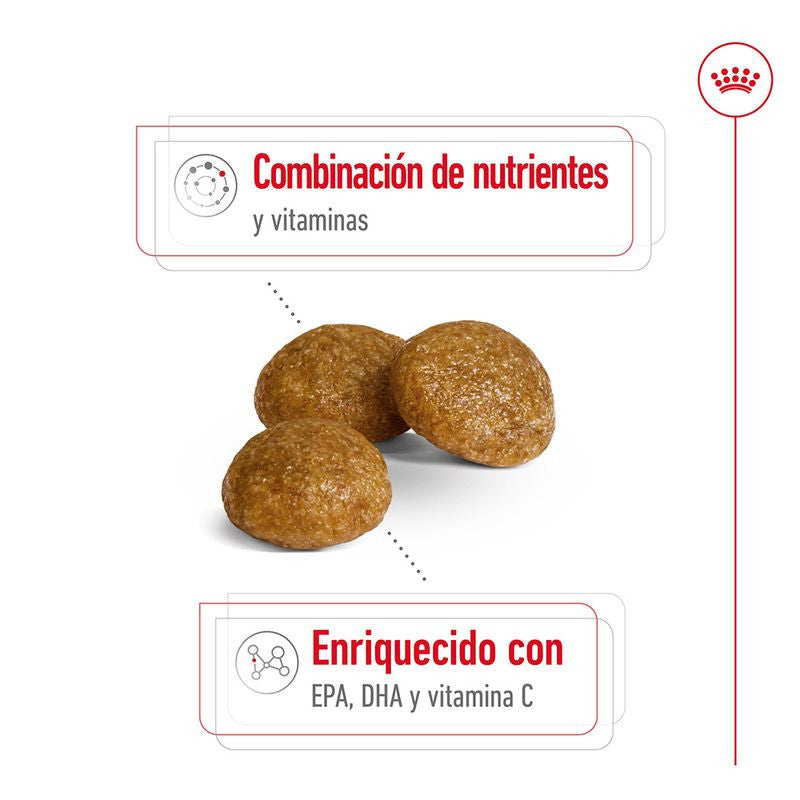 Royal Canin X-Small Adult 8+ 3kg