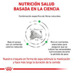 Royal Canin Diet Canine Satiety Support Weight Management Pienso Para Perros