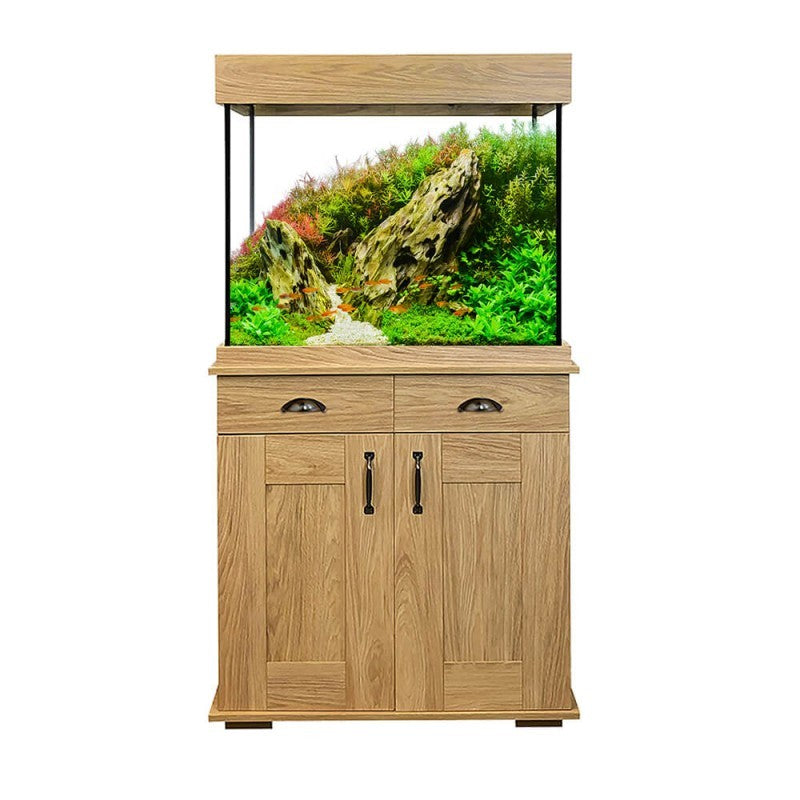 Set Acuario Fluval Shaker 168 l + Mesa