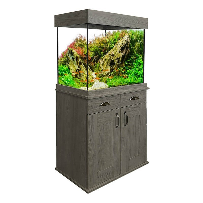 Set Acuario Fluval Shaker 168 l + Mesa