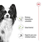 Royal Canin X-Small Adult 8+ 3kg