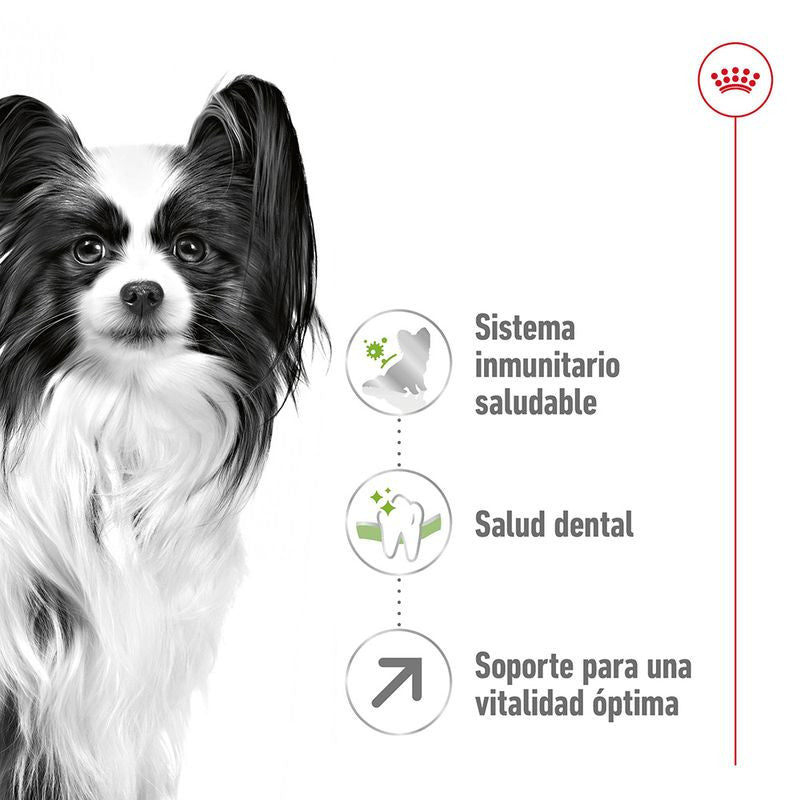 Royal Canin X-Small Adult 8+ 3kg