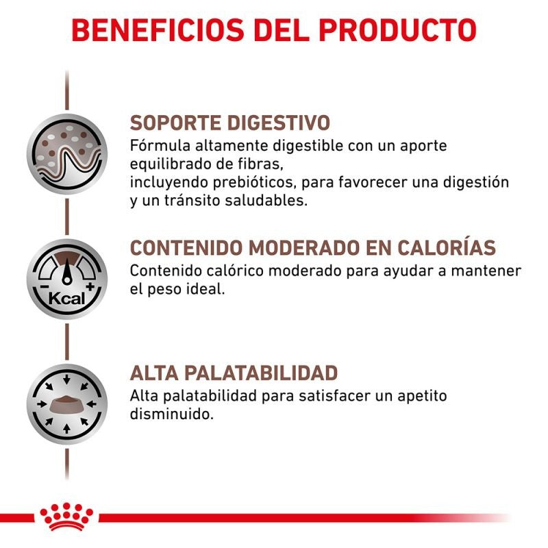 Royal Canin Diet Feline Gastro Intestinal Moderate Calorie pienso para gatos