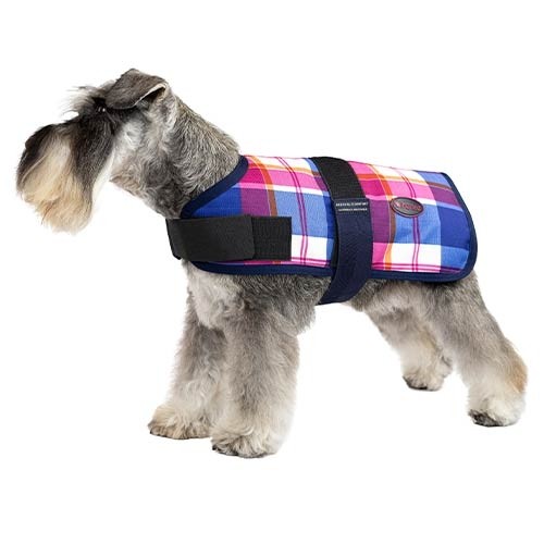 Capa + Trendy Breathe Comfort Cereza