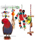 Pack Eclectus