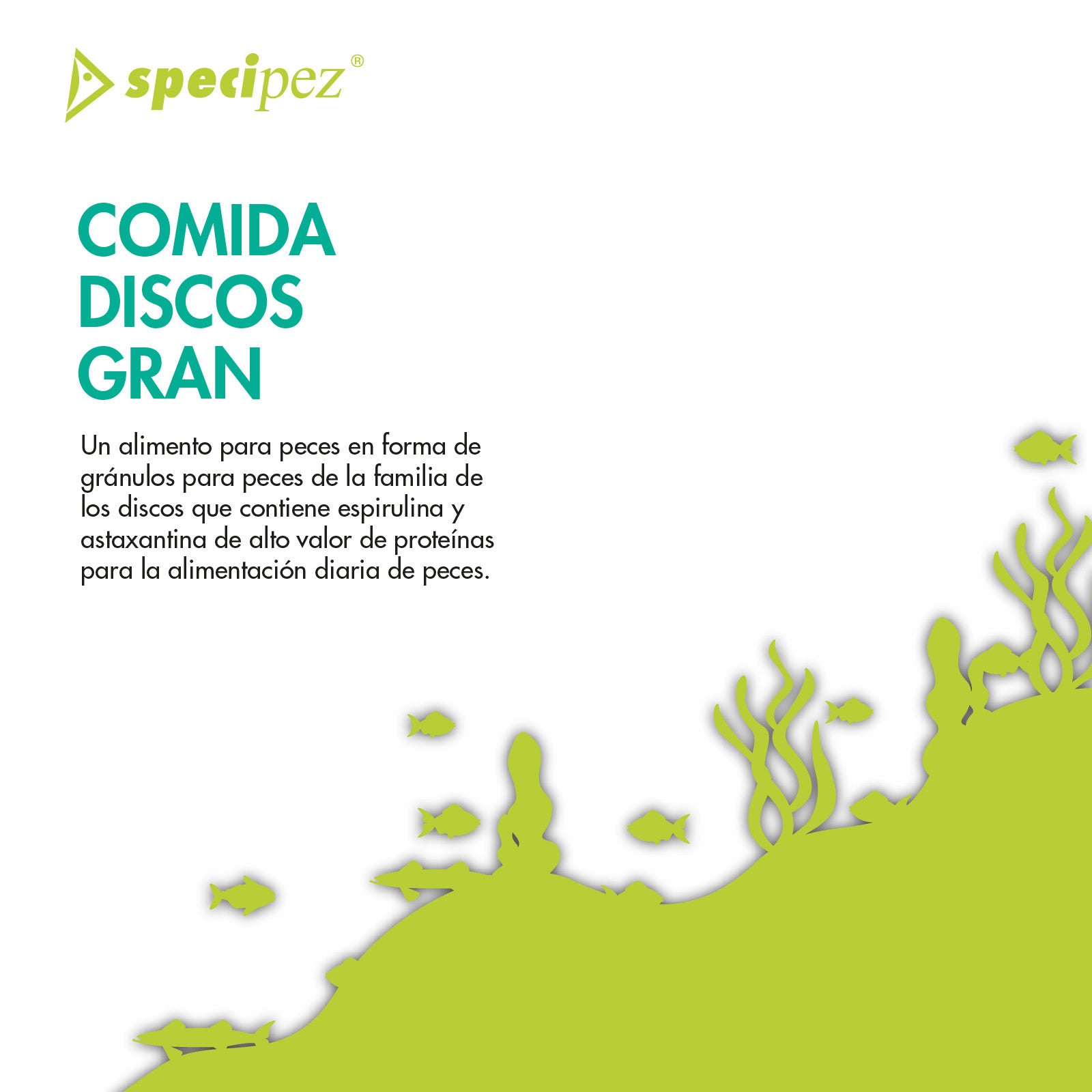 Comida discos Specipez