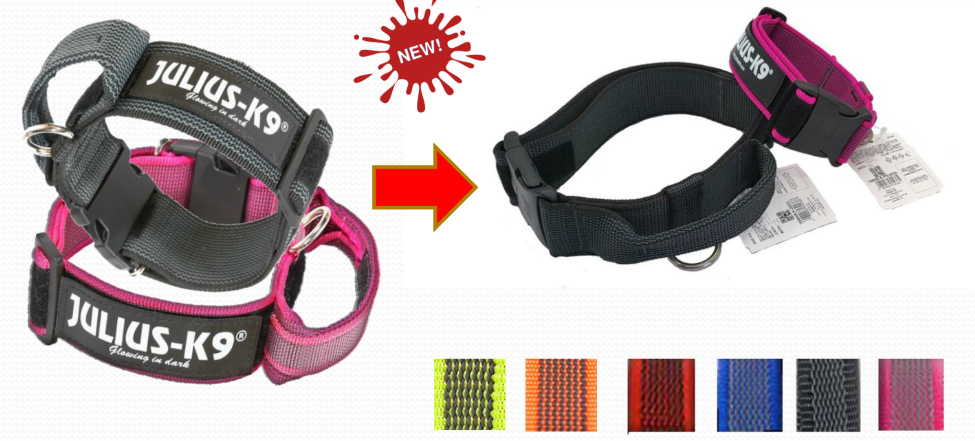 Collar Julius - K9