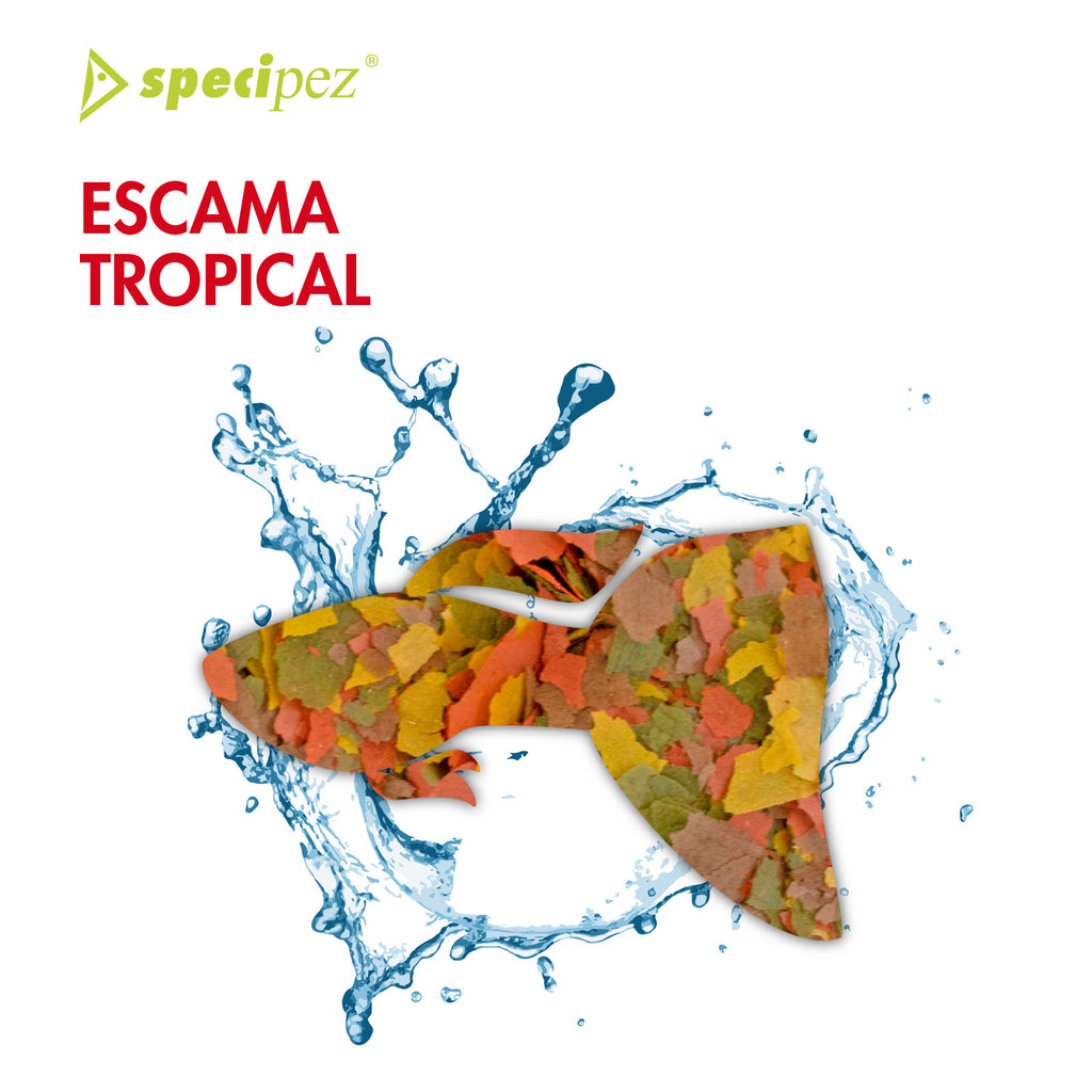 Escama tropical Specipez