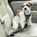 Arnés coche con cinturón seguridad Ibáñez Dogway