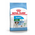 Royal Canin Mini Puppy pienso para perros