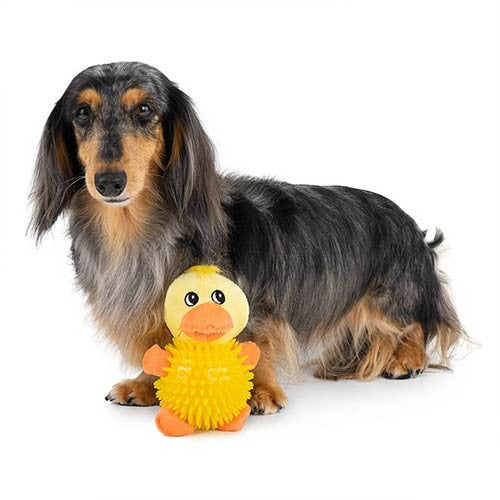 Peluches Pelota Pato y Rana