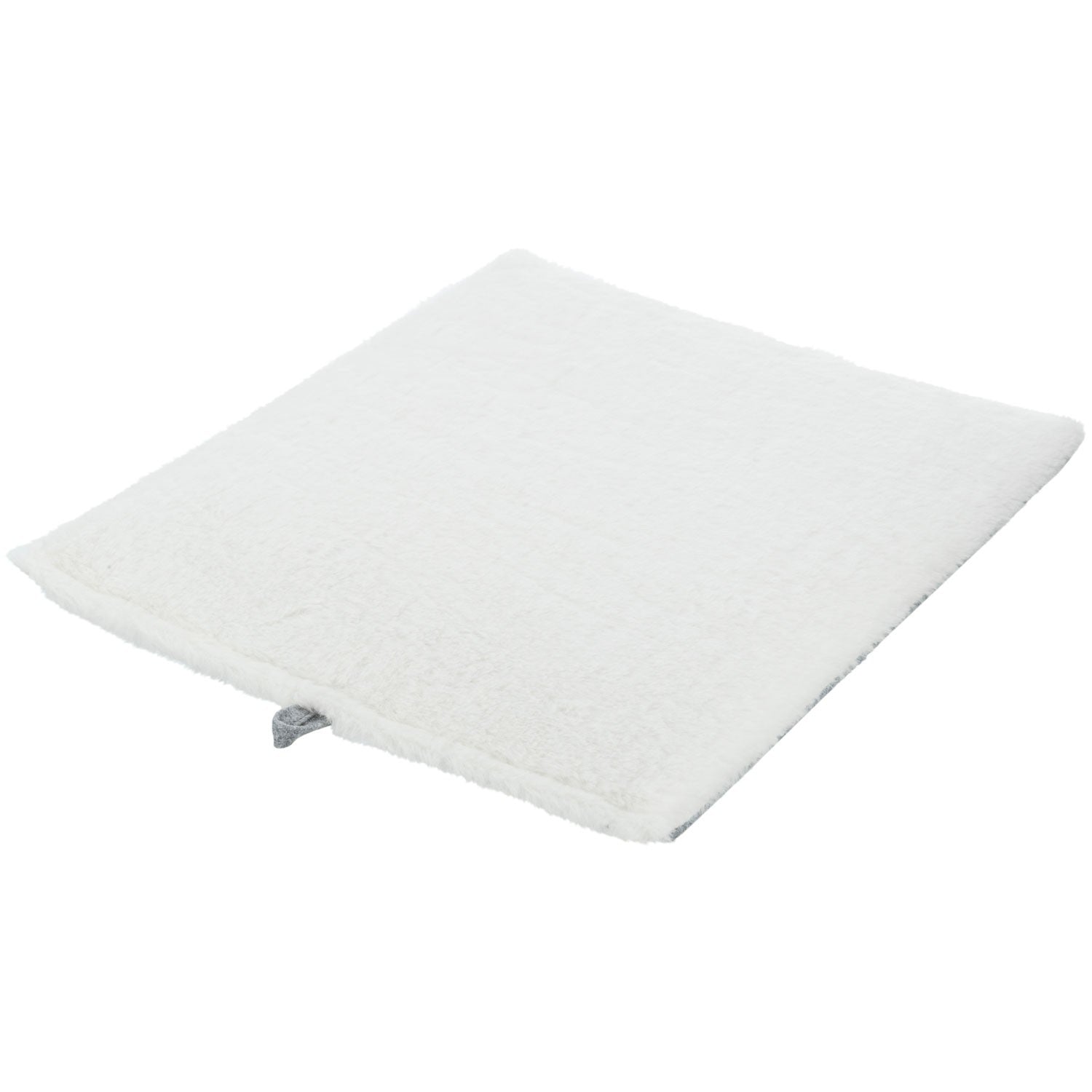 Cueva Livia