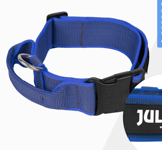 Collar Julius - K9