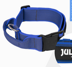 Collar Julius - K9