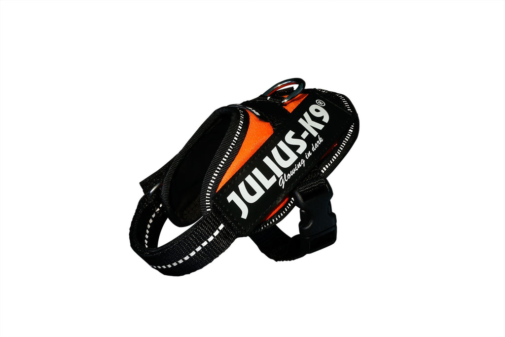 Arnés Julius K9 IDC Naranja Fluor
