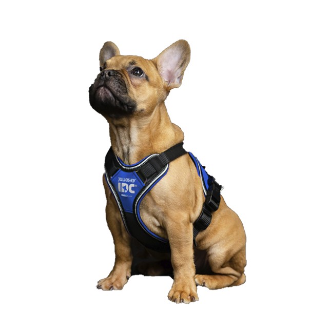 Arnés Julius K9 Longwalk Azul
