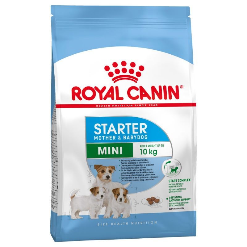 Royal Canin Mini Starter pienso para perros