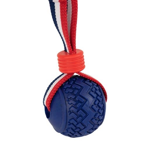 Lanzador elástico con pelota