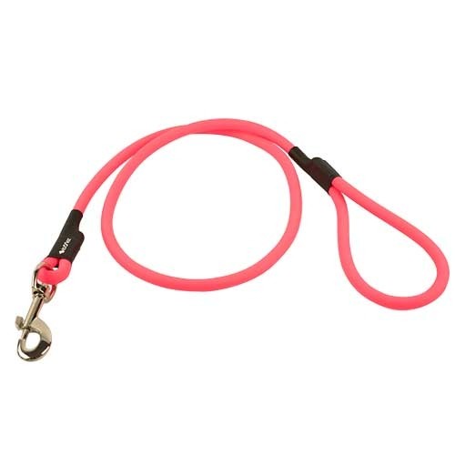 Correa para Perros de Poliuretano