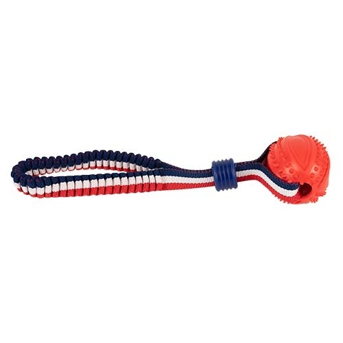Lanzador elástico con pelota