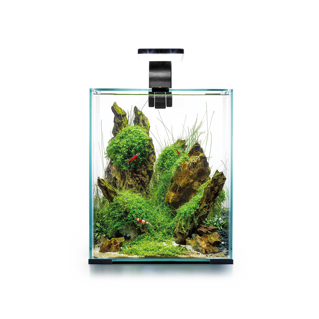 Acuario Completo Shrimp Day&Night Aquael Blanco
