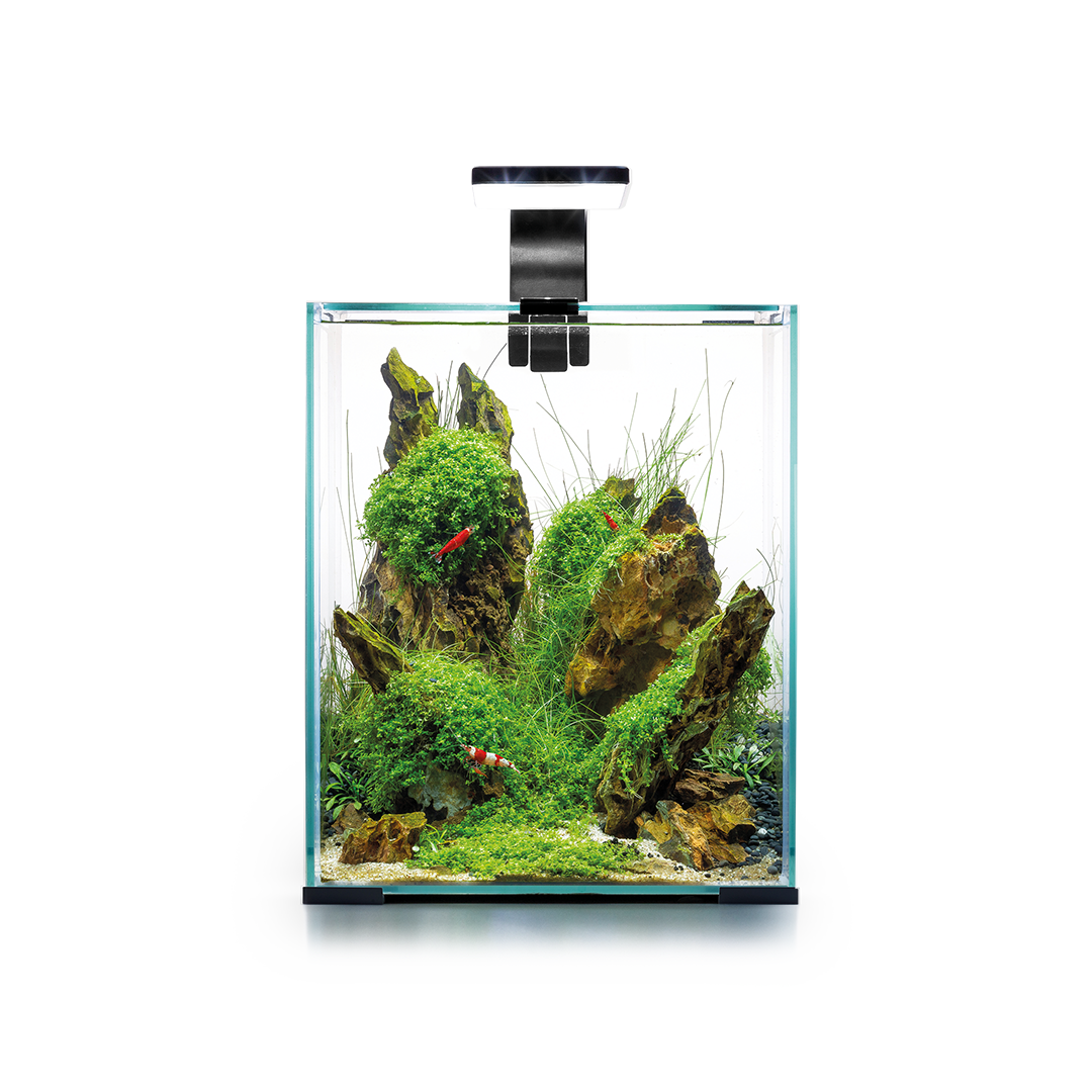 Acuario Completo Shrimp Day&Night Aquael Blanco